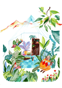 Plantes luxuriantes dans un jardin en fleurs